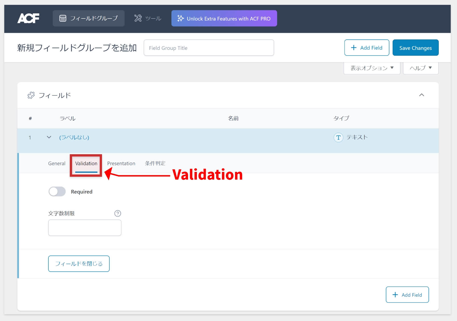 ACF6.0のValidation